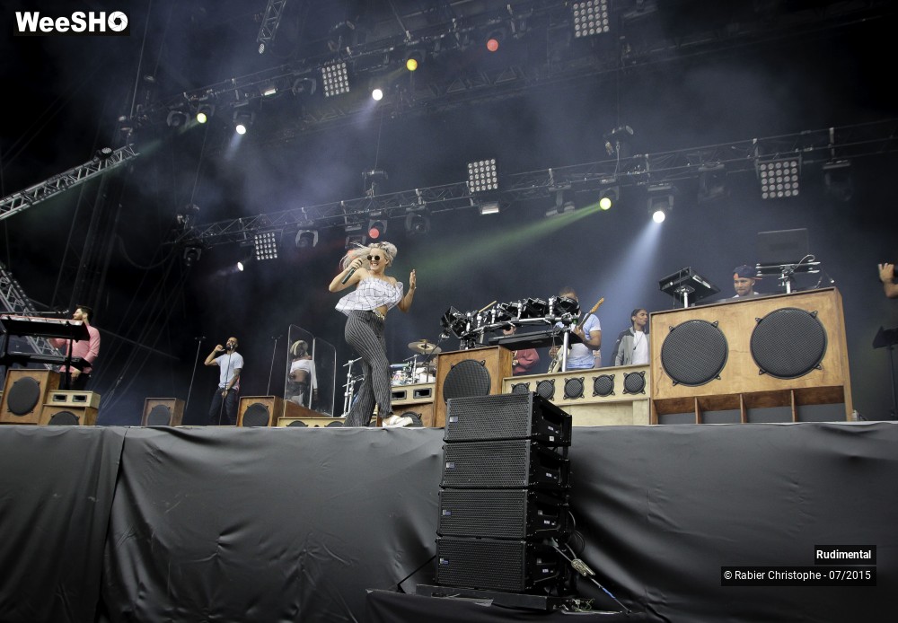22/37 photos du spectacle Rudimental