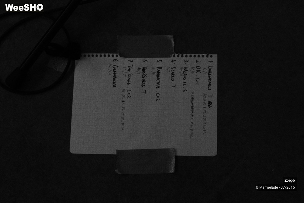15/15 photos du spectacle Zoépb