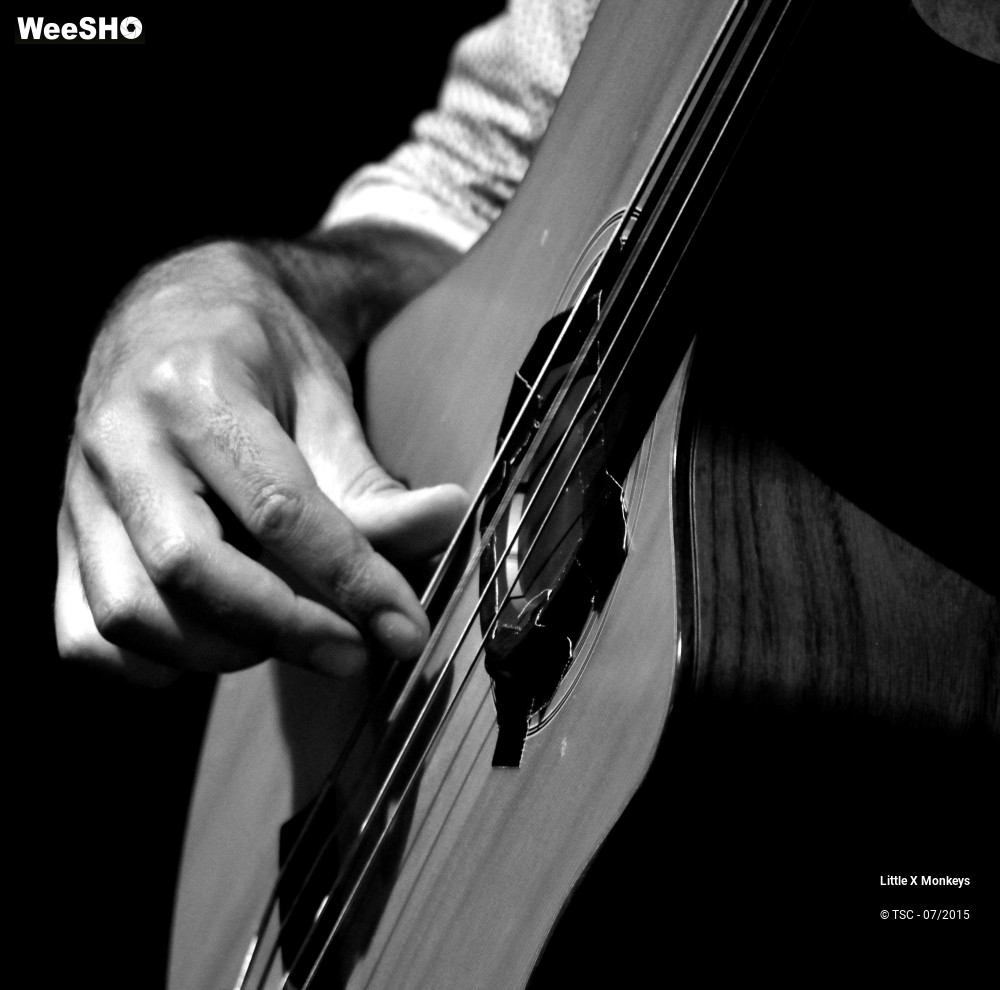 3/18 photos du spectacle Little X Monkeys