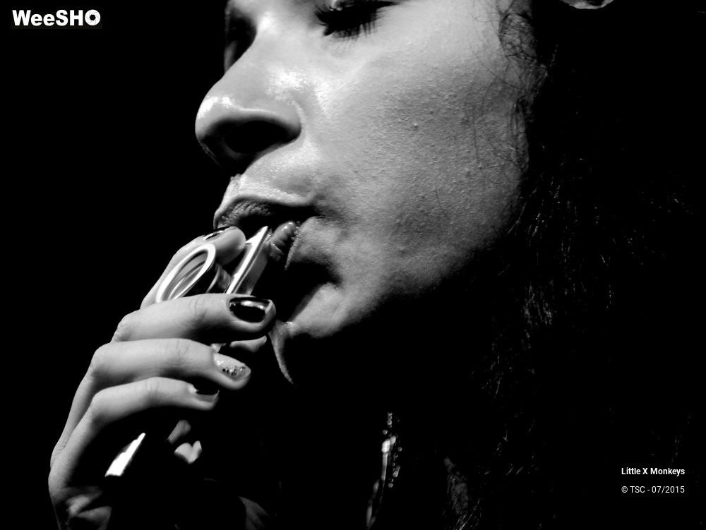 8/18 photos du spectacle Little X Monkeys