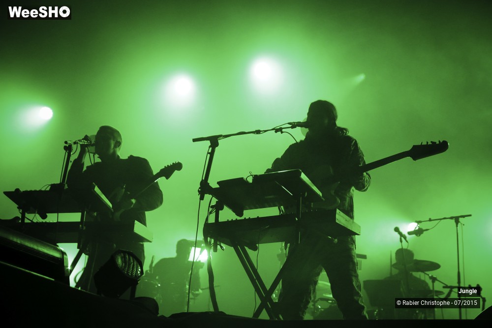 11/24 photos du spectacle Jungle