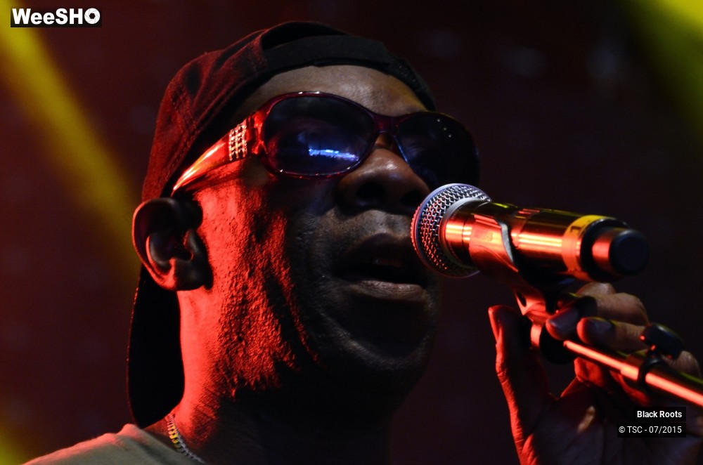8/9 photos du spectacle Black Roots