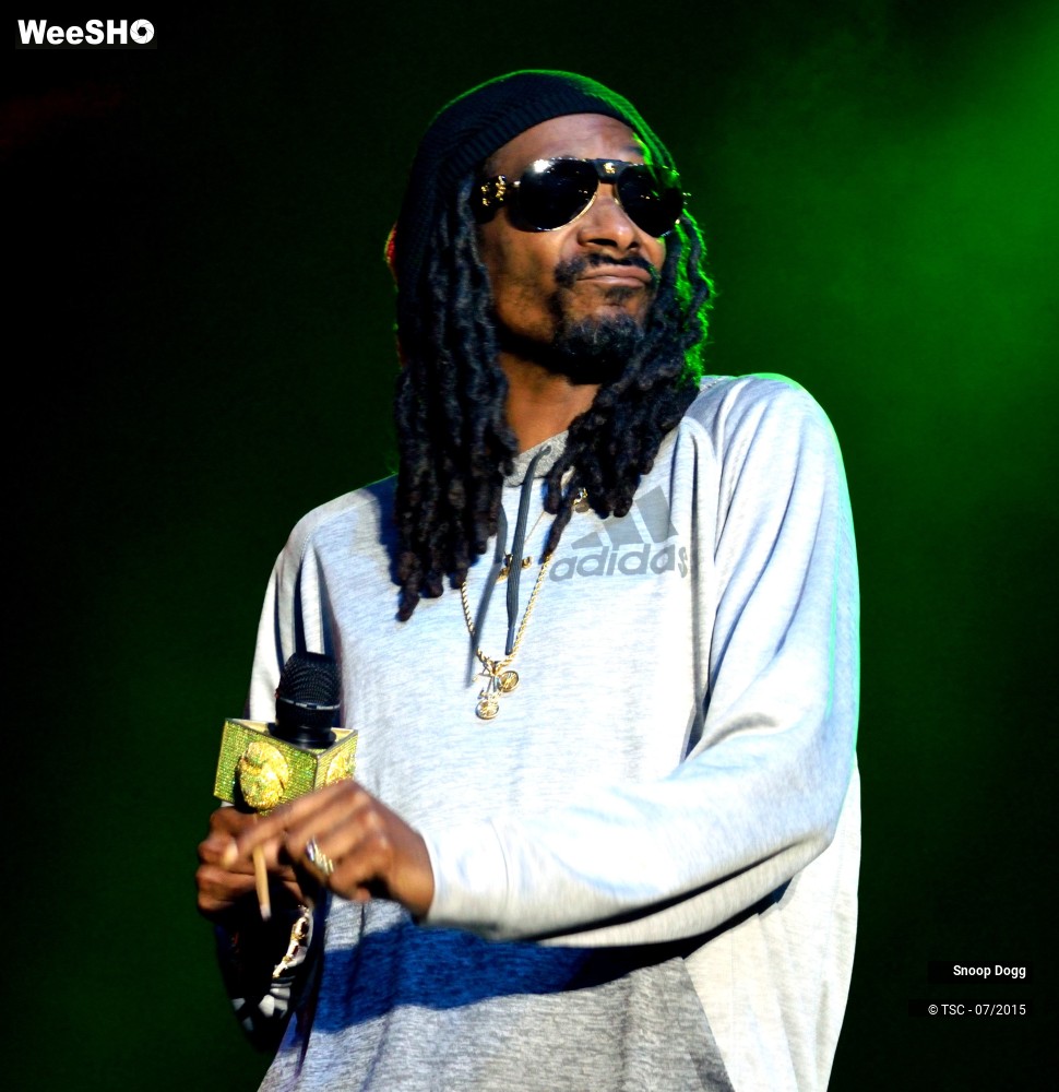4/16 photos du spectacle Snoop Dogg