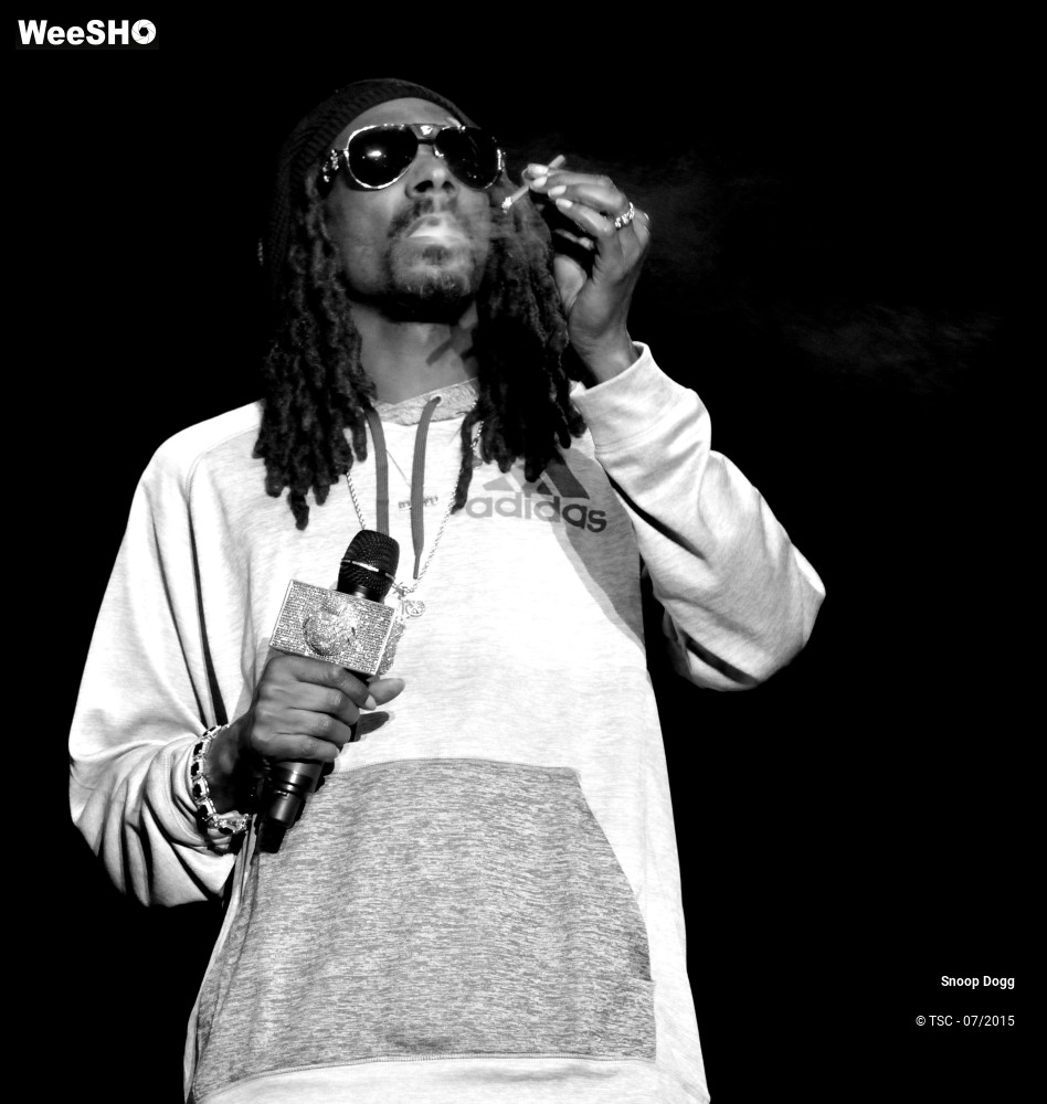 8/16 photos du spectacle Snoop Dogg