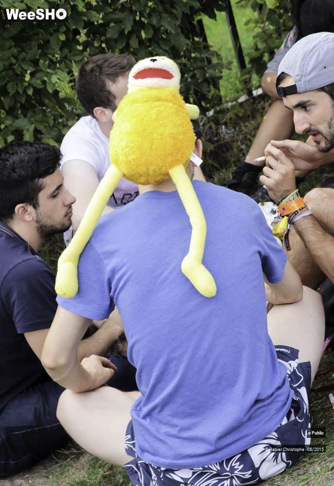 30/31 photos du spectacle ambiance Les Nuits Secretes 2015