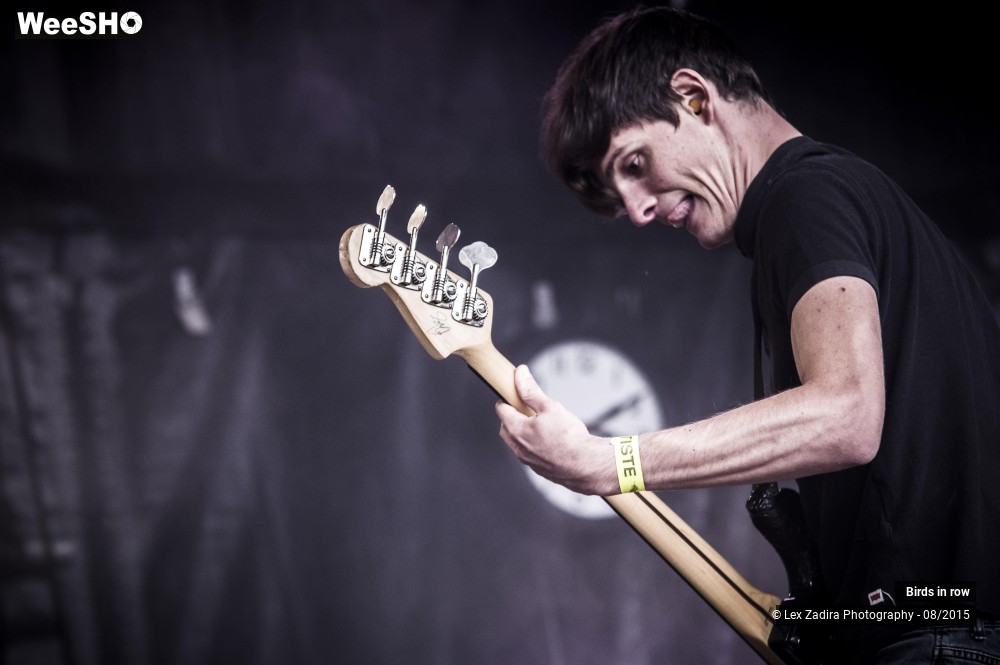6/12 photos du spectacle Birds in row