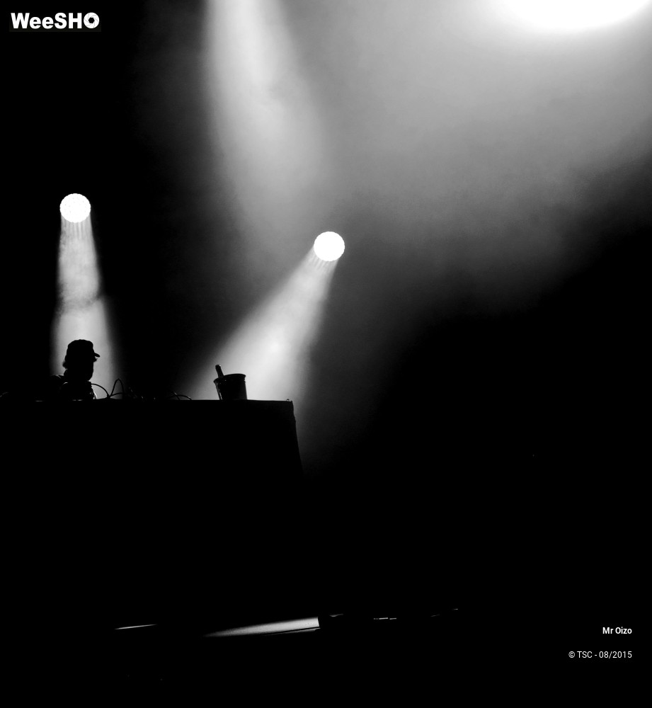 8/8 photos du spectacle Mr Oizo