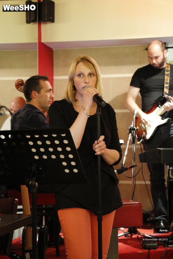12/30 photos du spectacle Apricity
