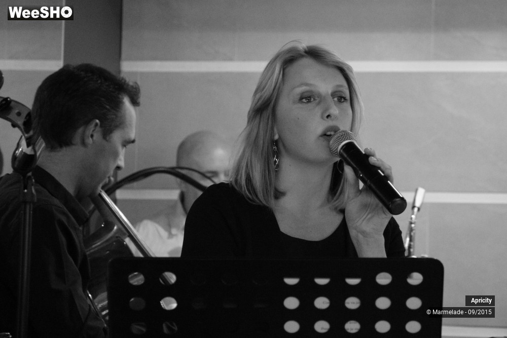 18/30 photos du spectacle Apricity