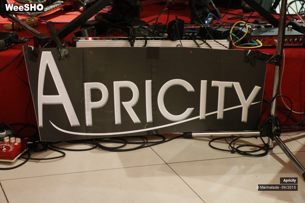 21/30 photos du spectacle Apricity