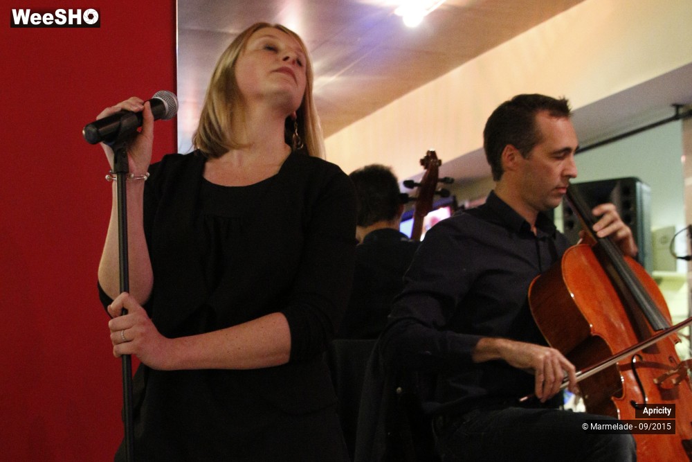25/30 photos du spectacle Apricity