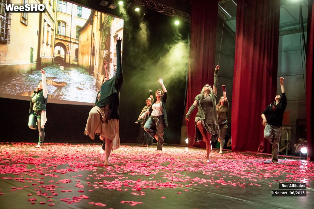 6/47 photos du spectacle Roq'Attitudes 2015 - Partie 1