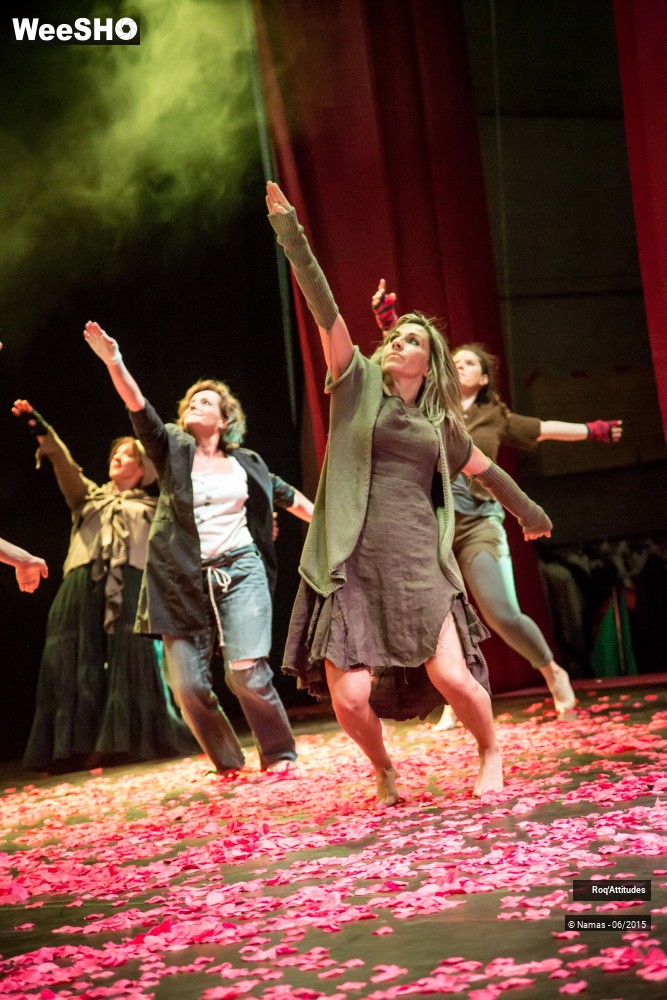 13/47 photos du spectacle Roq'Attitudes 2015 - Partie 1
