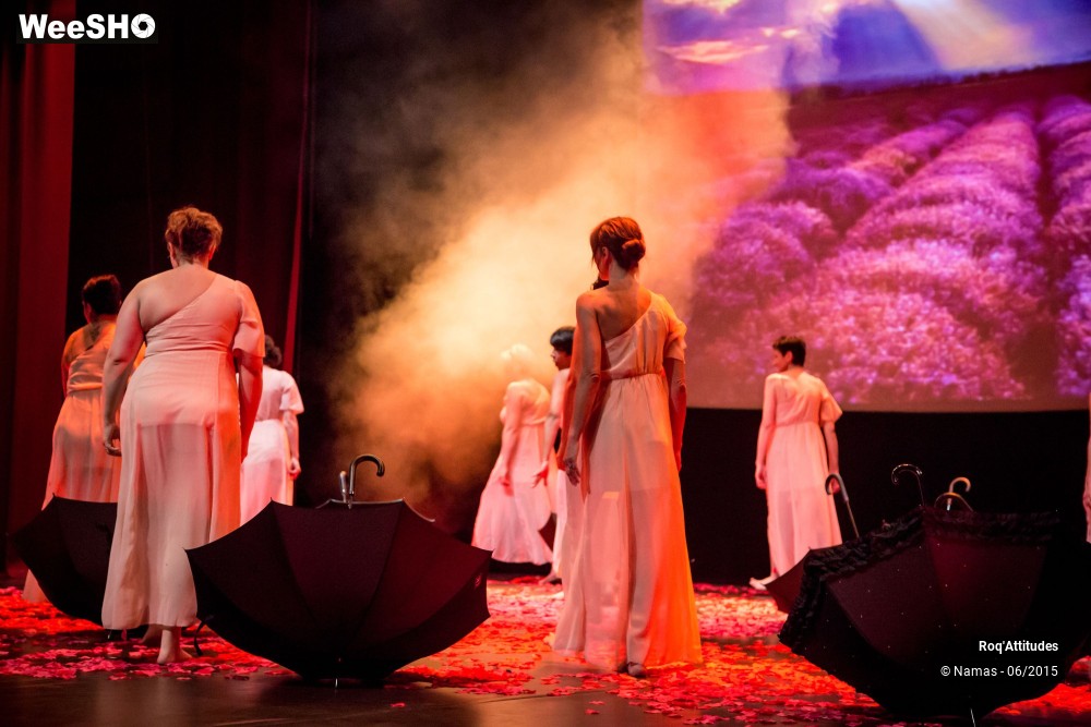 14/47 photos du spectacle Roq'Attitudes 2015 - Partie 1