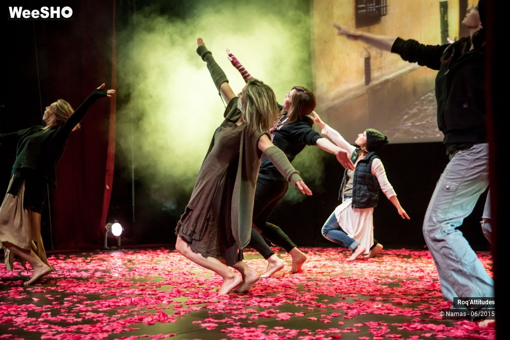 16/47 photos du spectacle Roq'Attitudes 2015 - Partie 1