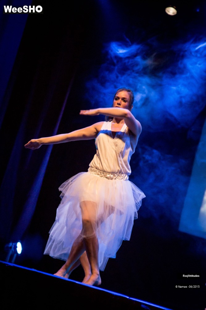31/47 photos du spectacle Roq'Attitudes 2015 - Partie 1