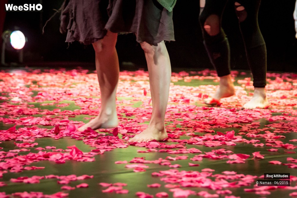 36/47 photos du spectacle Roq'Attitudes 2015 - Partie 1