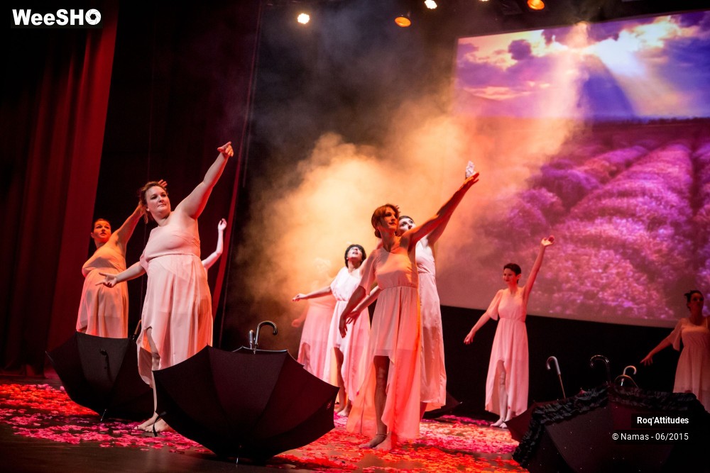 40/47 photos du spectacle Roq'Attitudes 2015 - Partie 1