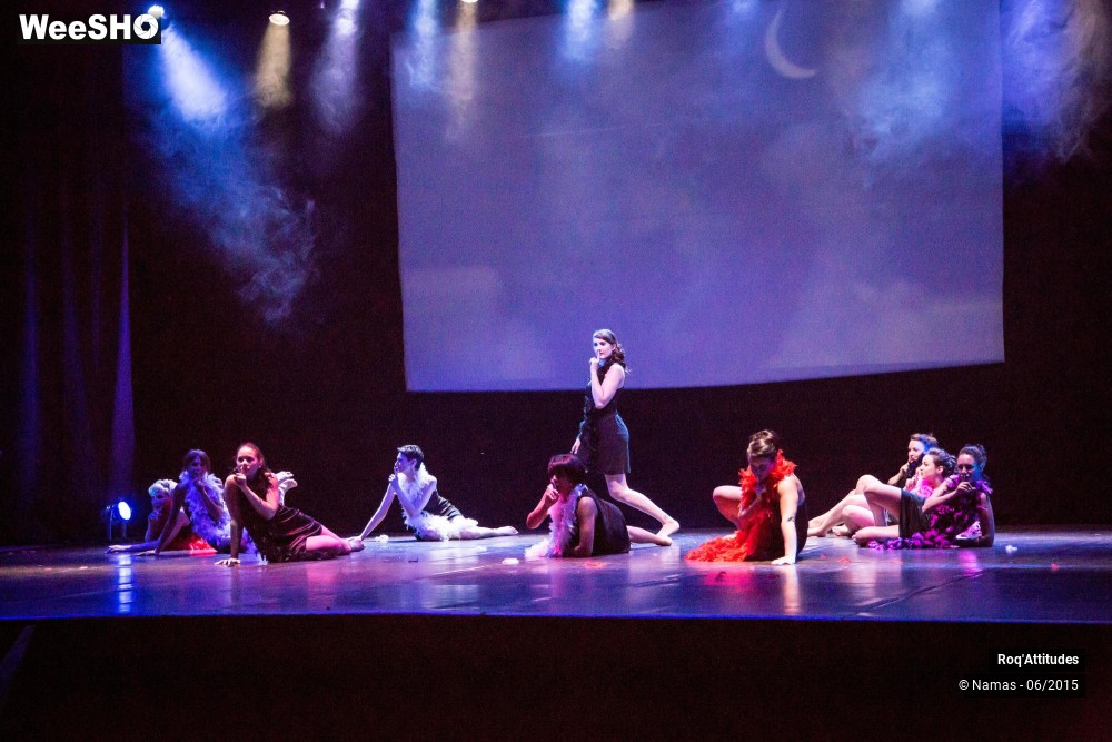 45/47 photos du spectacle Roq'Attitudes 2015 - Partie 1