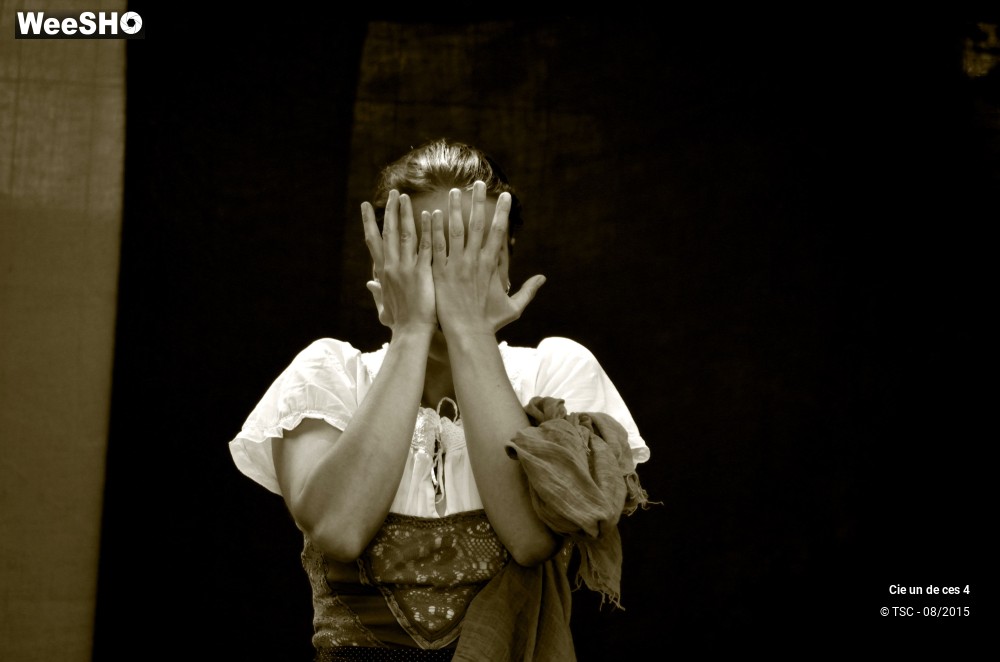 32/32 photos du spectacle Madame et sa croupe