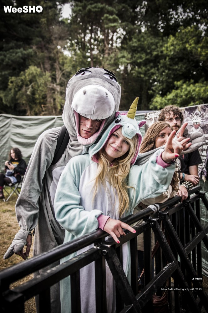 6/34 photos du spectacle Motocultor 2015 Ambiance