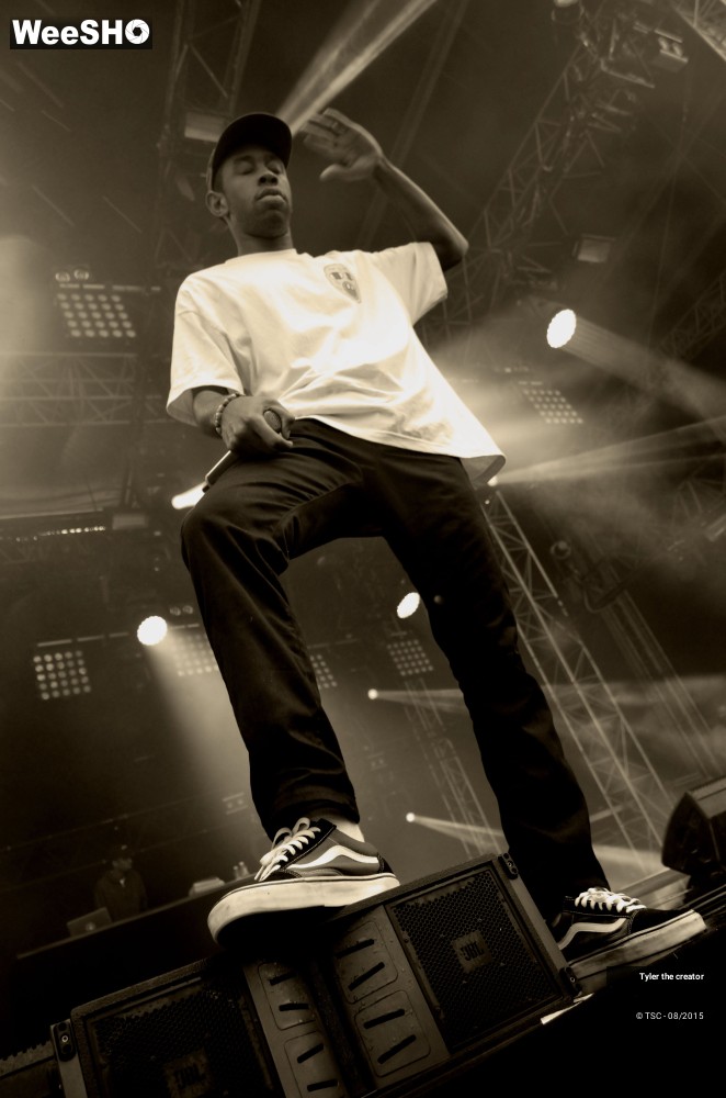 1/10 photos du spectacle Tyler the creator