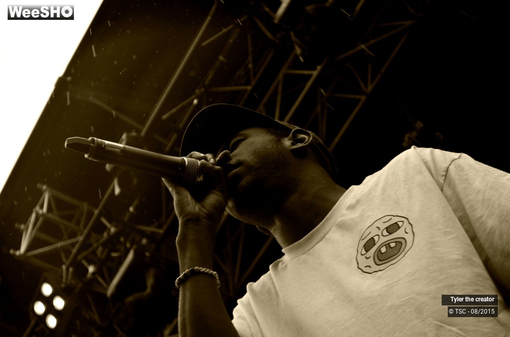 2/10 photos du spectacle Tyler the creator
