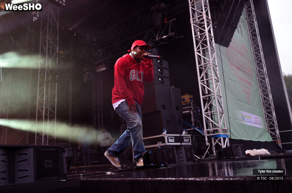 3/10 photos du spectacle Tyler the creator