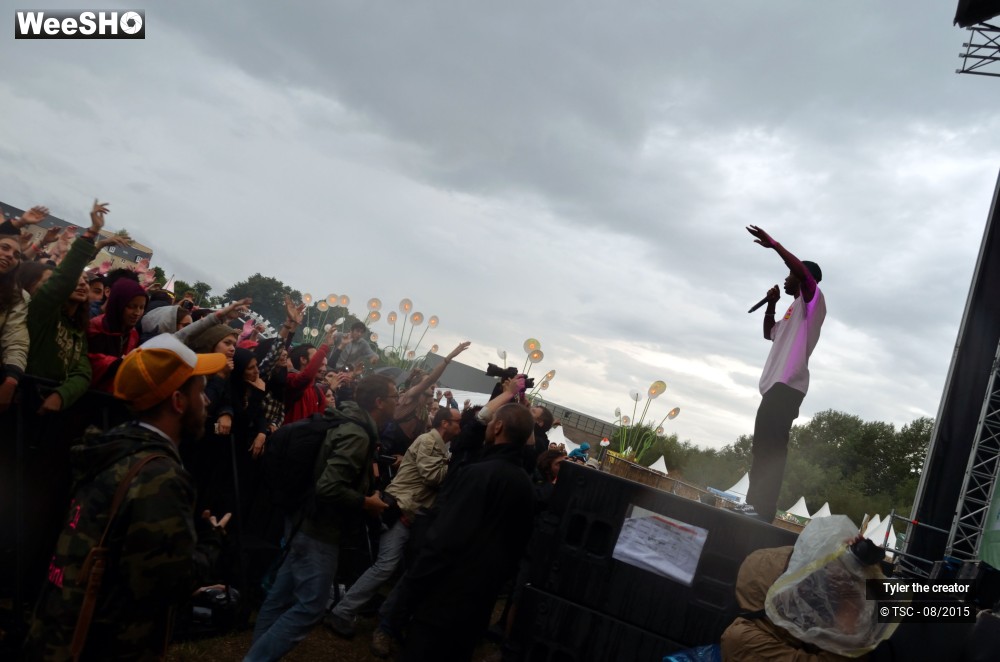 4/10 photos du spectacle Tyler the creator