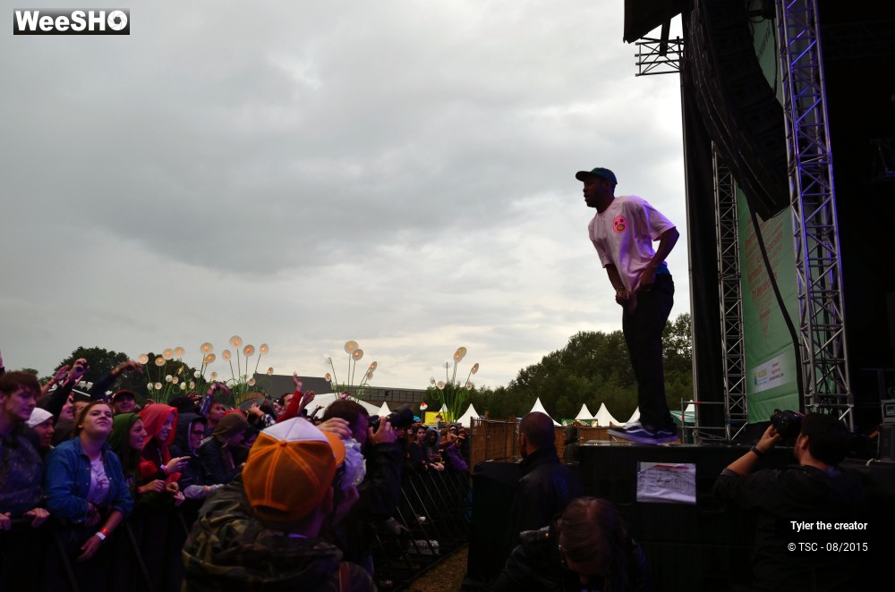 5/10 photos du spectacle Tyler the creator
