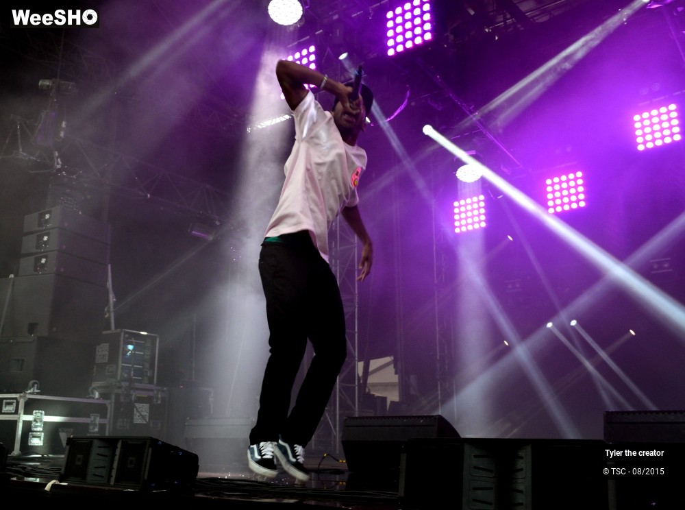 6/10 photos du spectacle Tyler the creator