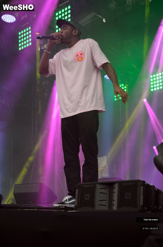 7/10 photos du spectacle Tyler the creator
