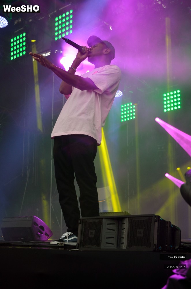 8/10 photos du spectacle Tyler the creator
