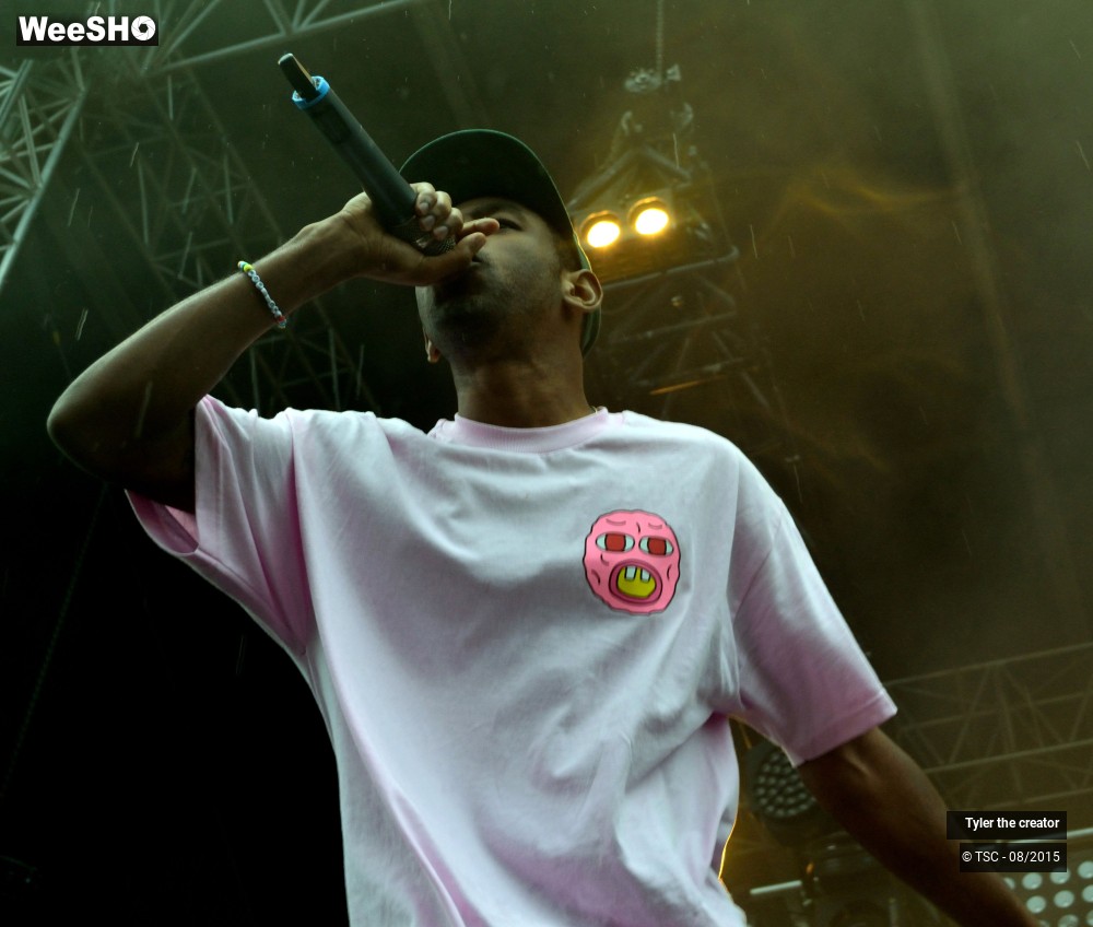 9/10 photos du spectacle Tyler the creator