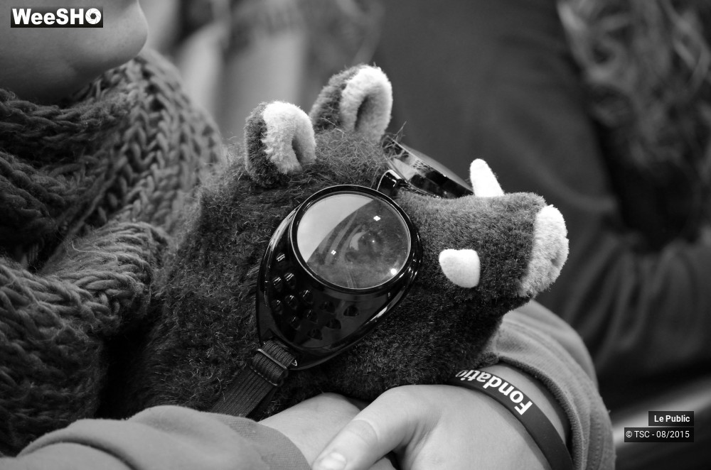 2/8 photos du spectacle Ambiance Cabaret vert 2015 Jour 4