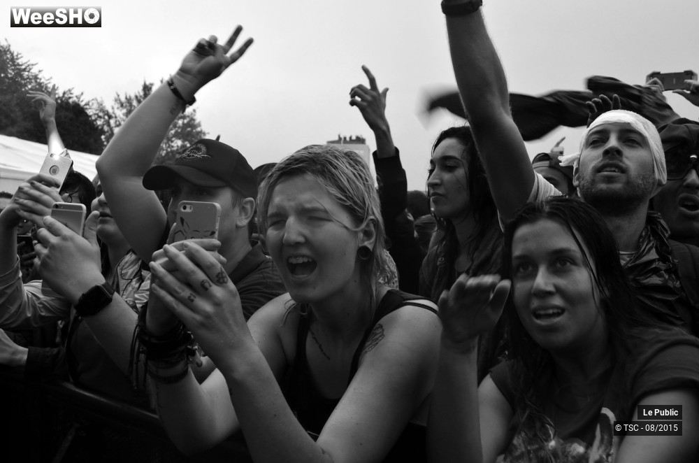 3/8 photos du spectacle Ambiance Cabaret vert 2015 Jour 4