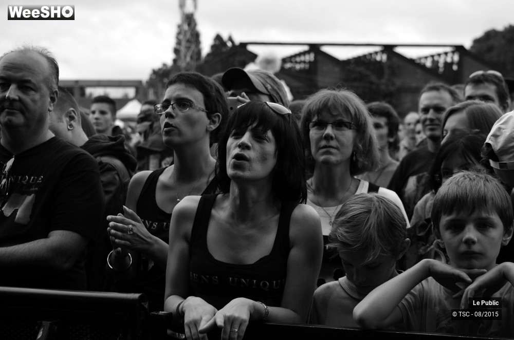 7/8 photos du spectacle Ambiance Cabaret vert 2015 Jour 4