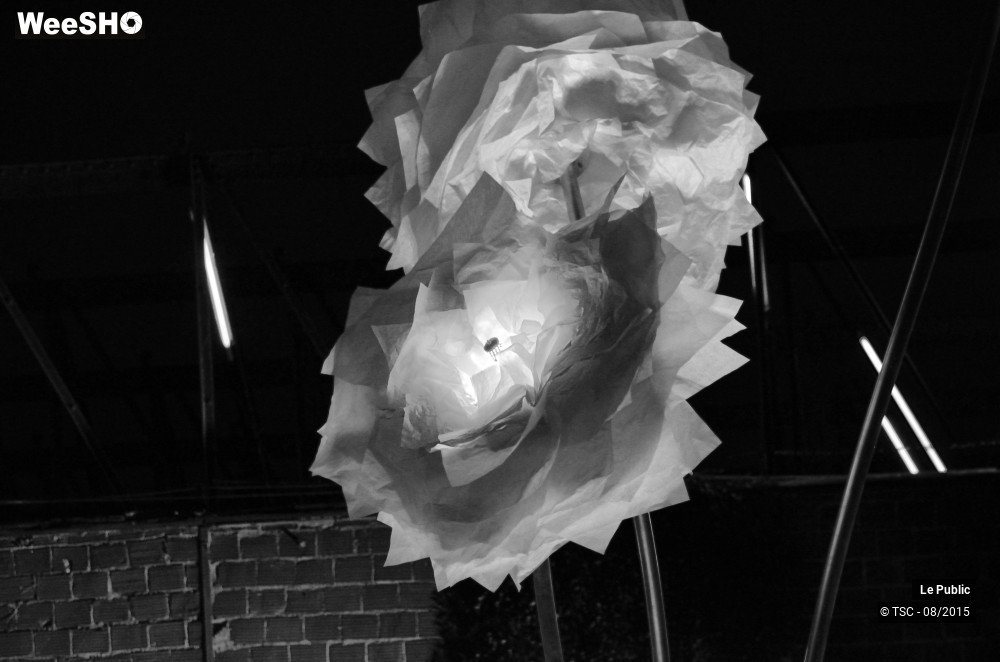 8/8 photos du spectacle Ambiance Cabaret vert 2015 Jour 4