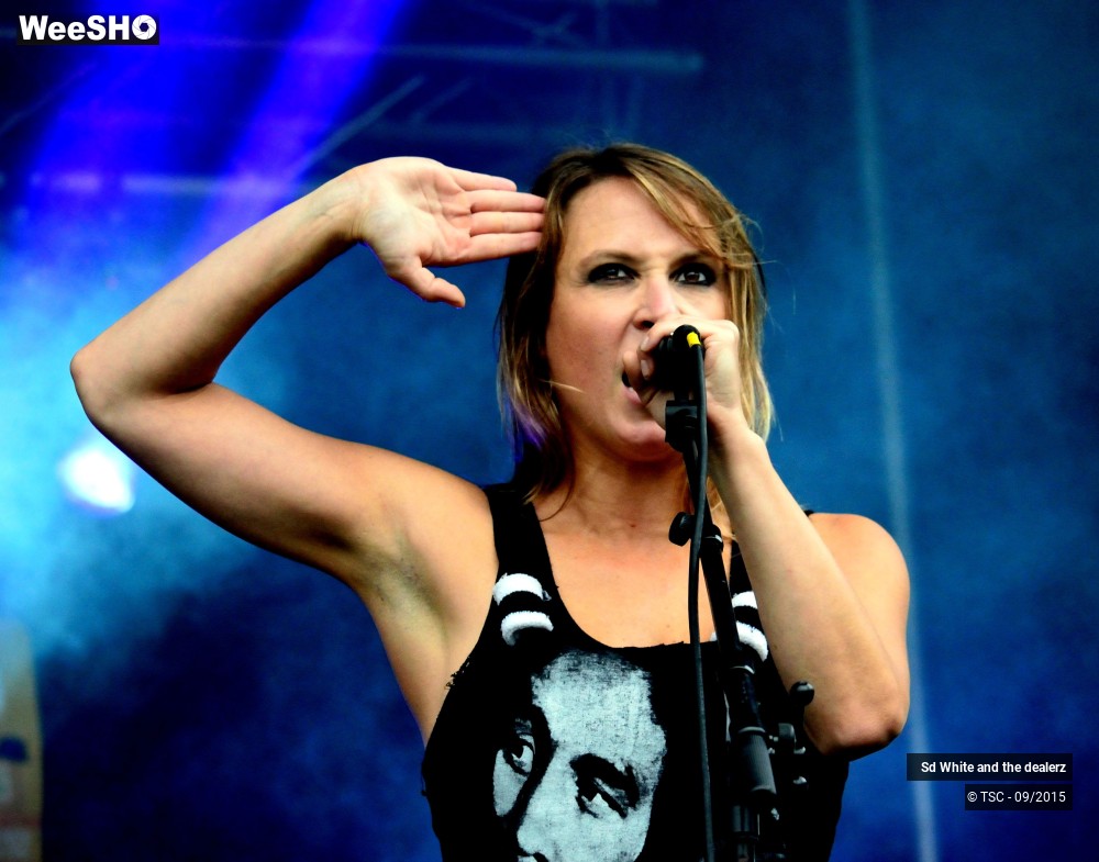 34/36 photos du spectacle Sd White and the dealerz