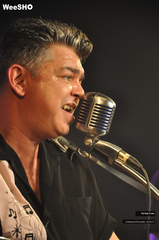 24/27 photos du spectacle The Ringtones