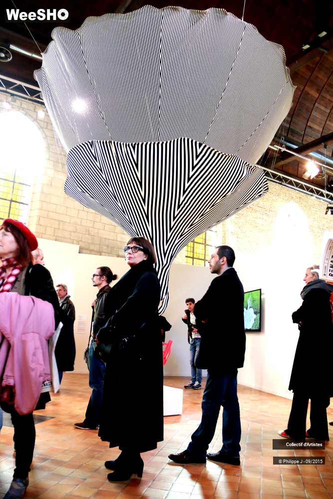 6/35 photos du spectacle Lille Renaissance Avant Première # 1