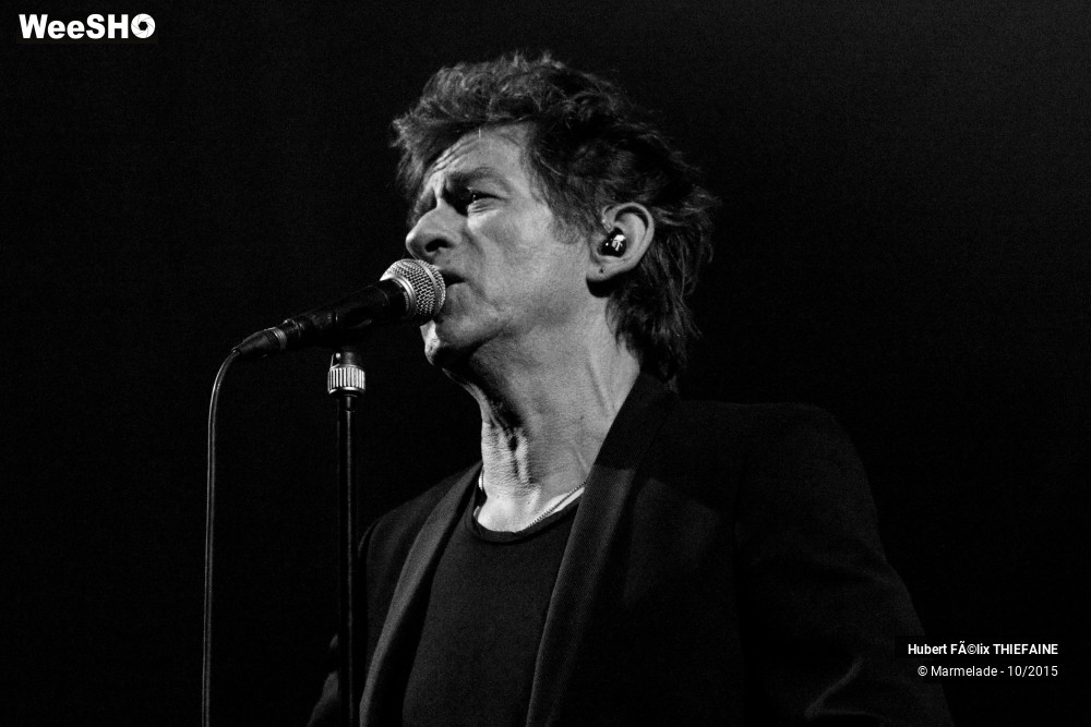28/45 photos du spectacle HF Thiefaine