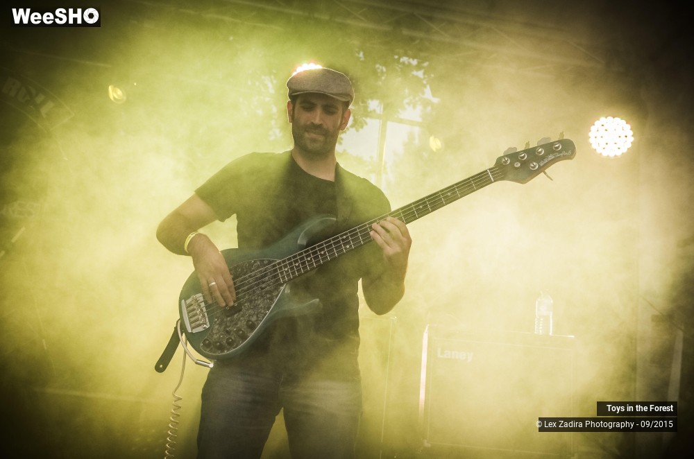 1/17 photos du spectacle Toys in the Forest