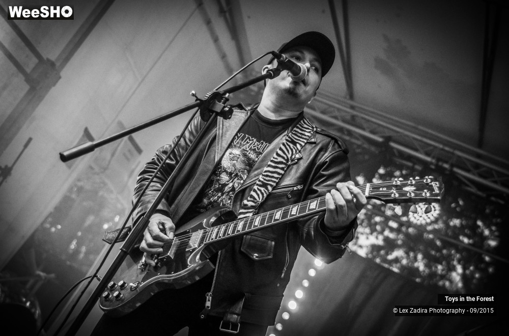 2/17 photos du spectacle Toys in the Forest