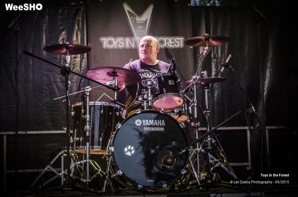 11/17 photos du spectacle Toys in the Forest