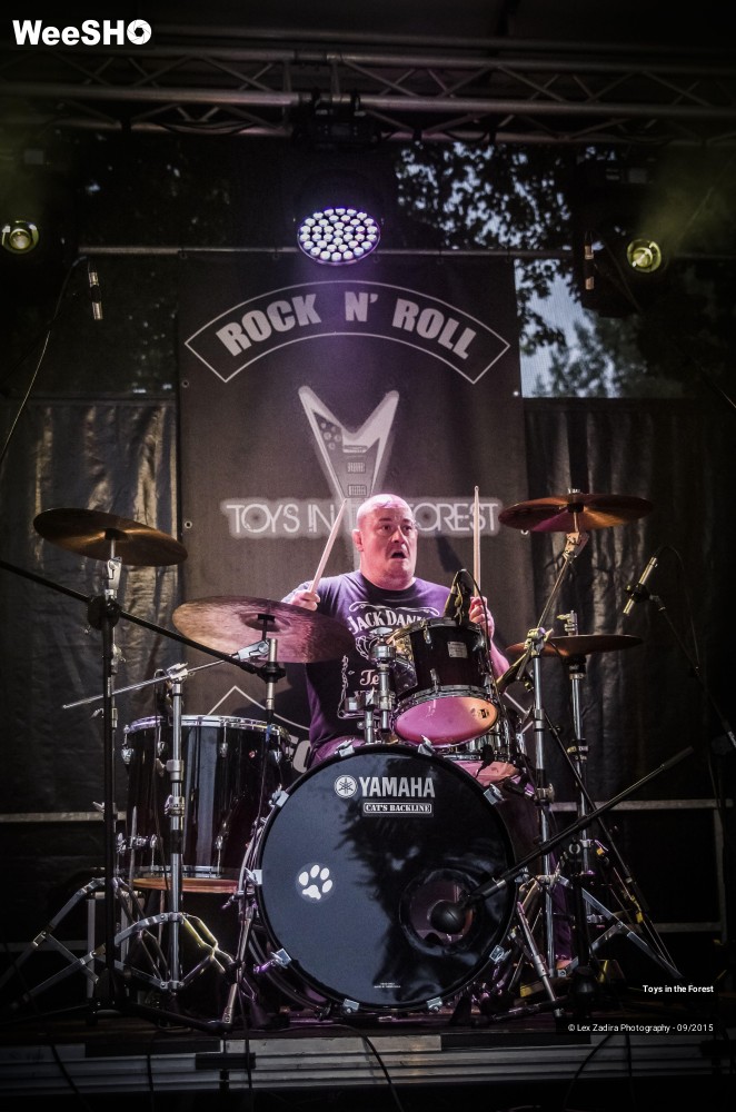 13/17 photos du spectacle Toys in the Forest