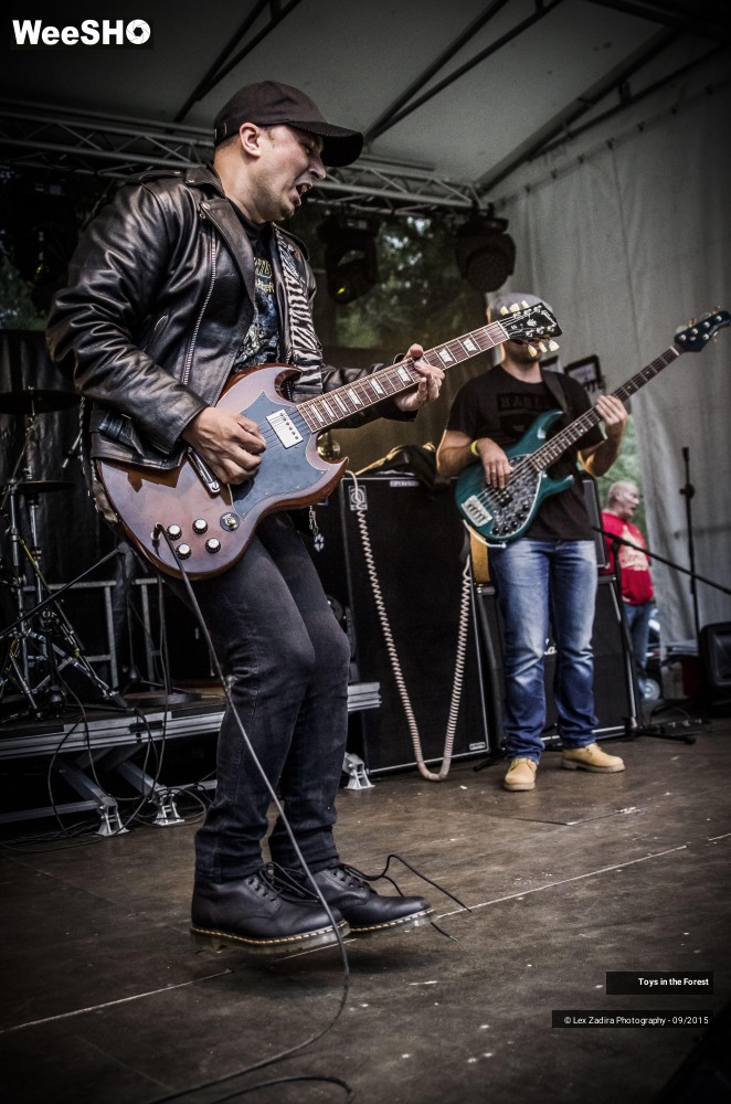 14/17 photos du spectacle Toys in the Forest