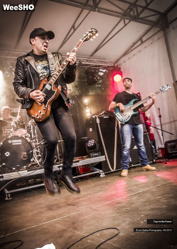 15/17 photos du spectacle Toys in the Forest