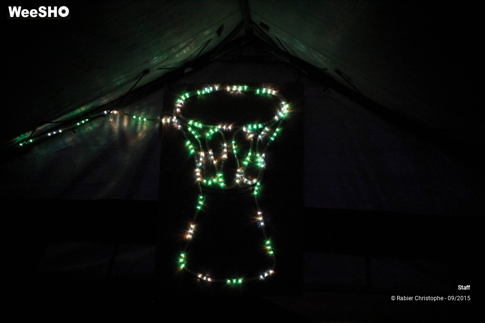 22/33 photos du spectacle Ambiance DTG 2015