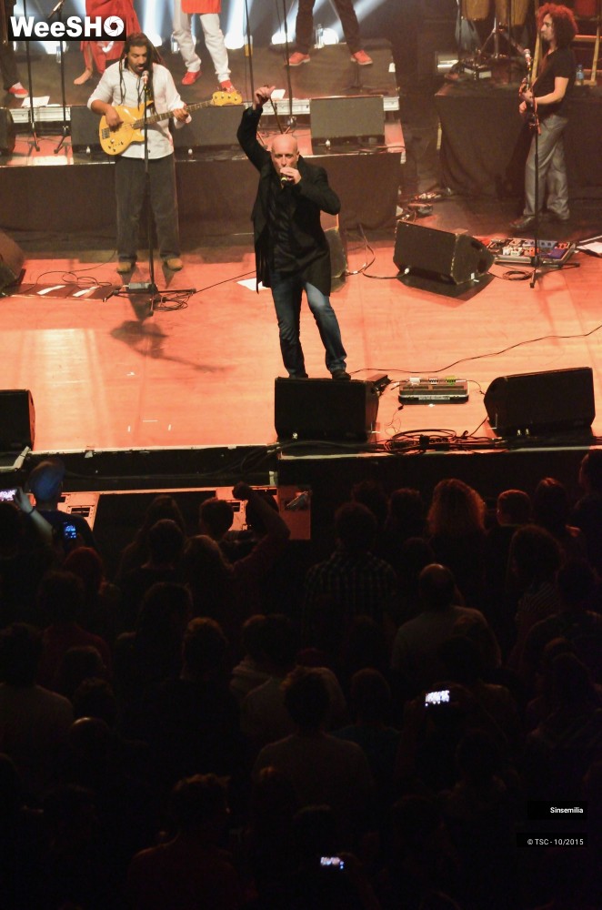 31/45 photos du spectacle Sinsemilia